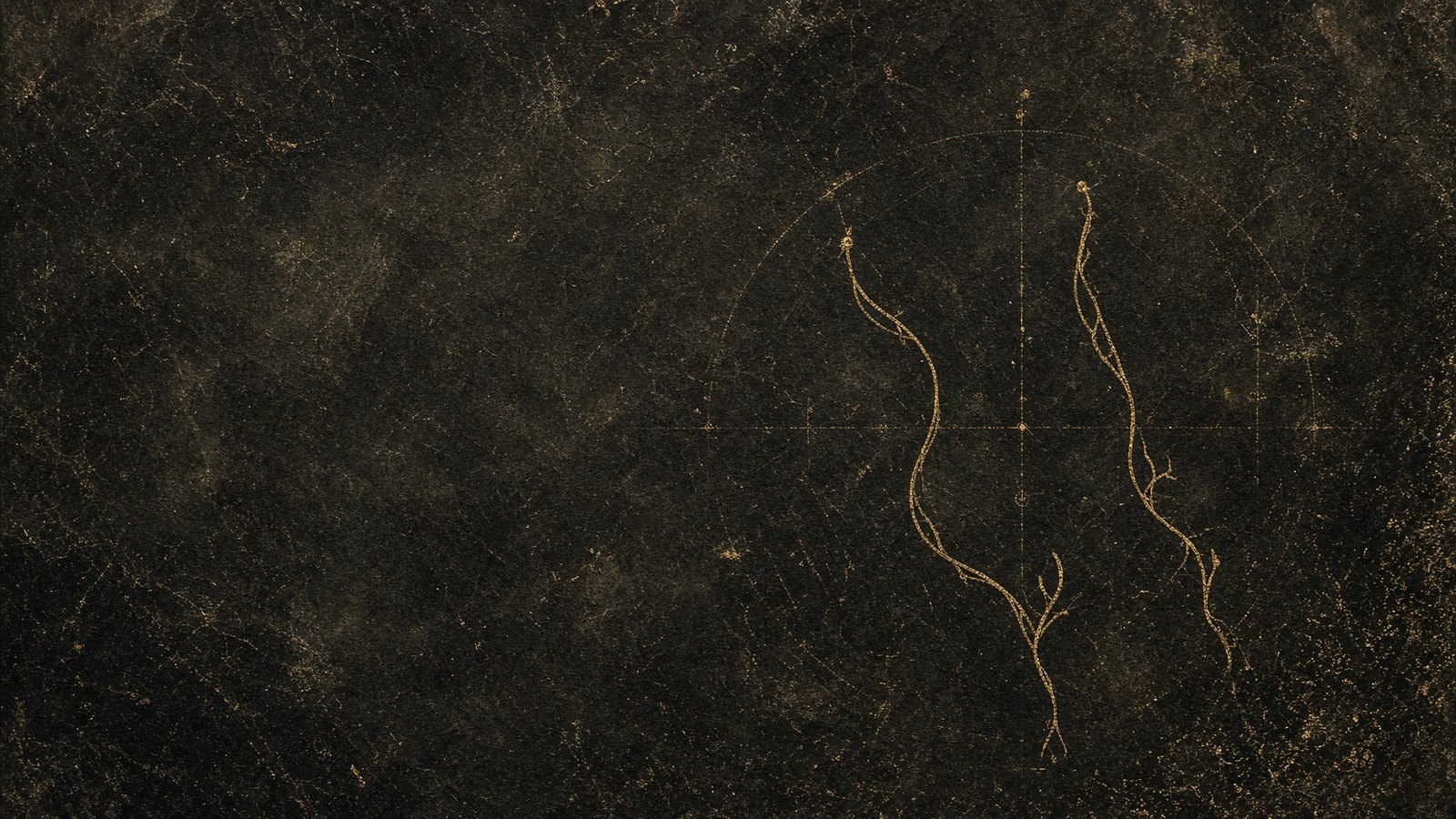 One Lamp Would Have Lied — Codex Fragment