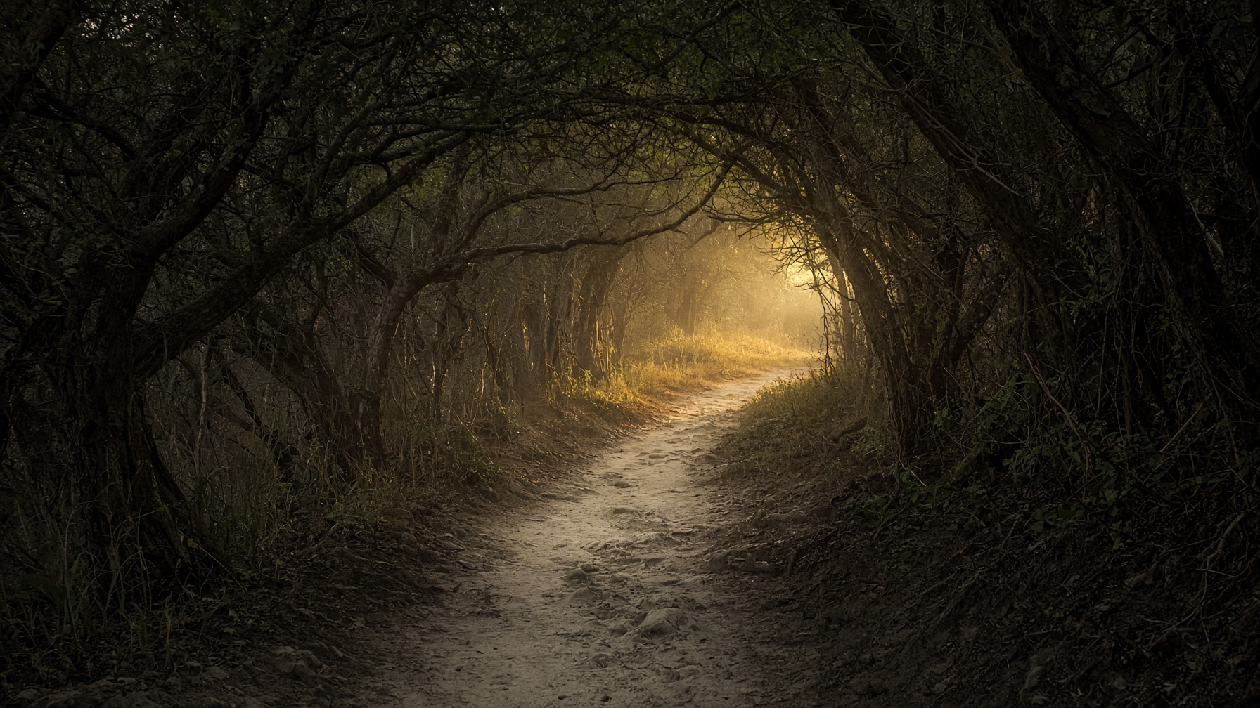The Bone Path — a path the village will not name