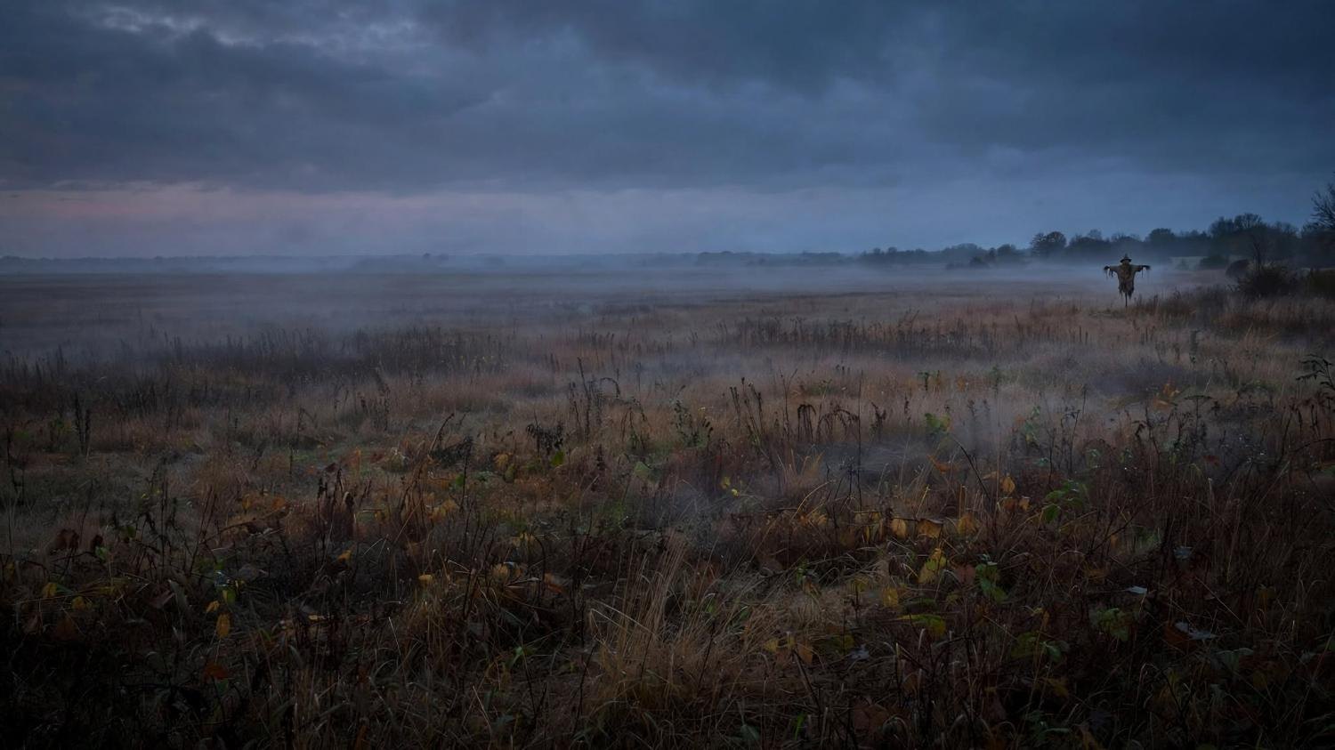 One scarecrow, small, at the far edge of a wide field.