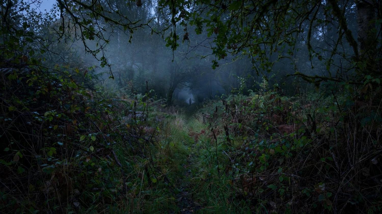 One figure far up a fogged path, not coming closer.